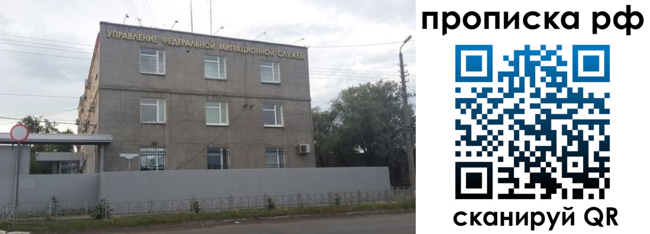 прописка регистрация в Пересвете